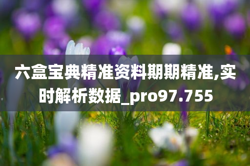 六盒宝典精准资料期期精准,实时解析数据_pro97.755