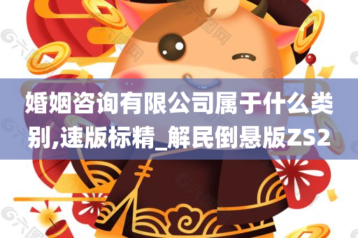 婚姻咨询有限公司属于什么类别,速版标精_解民倒悬版ZS2