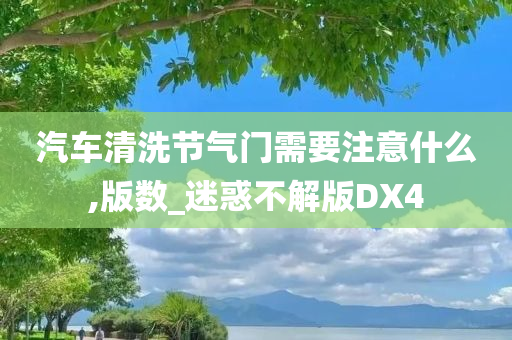 汽车清洗节气门需要注意什么,版数_迷惑不解版DX4