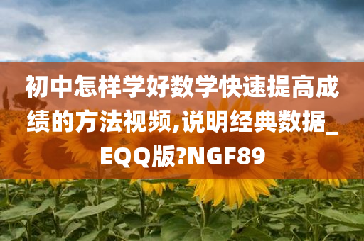 初中怎样学好数学快速提高成绩的方法视频,说明经典数据_EQQ版?NGF89