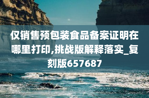 仅销售预包装食品备案证明在哪里打印,挑战版解释落实_复刻版657687