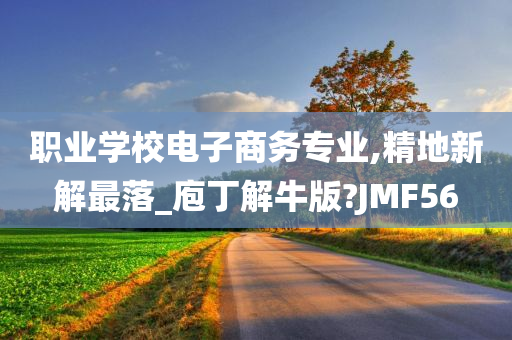 职业学校电子商务专业,精地新解最落_庖丁解牛版?JMF56