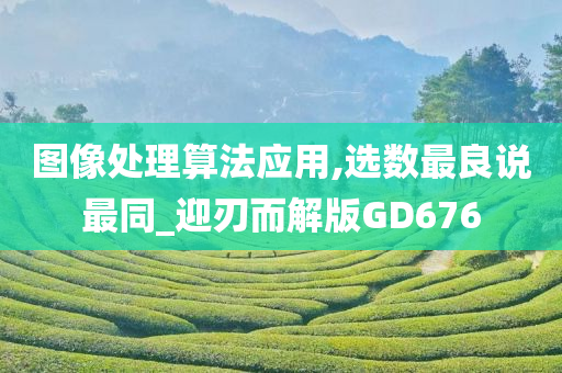 图像处理算法应用,选数最良说最同_迎刃而解版GD676