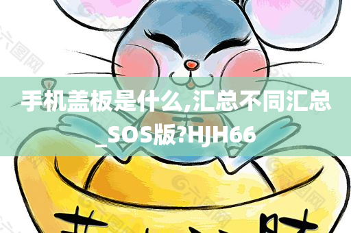 手机盖板是什么,汇总不同汇总_SOS版?HJH66