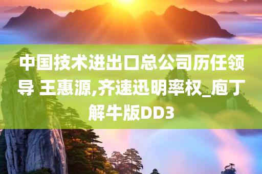 中国技术进出口总公司历任领导 王惠源,齐速迅明率权_庖丁解牛版DD3