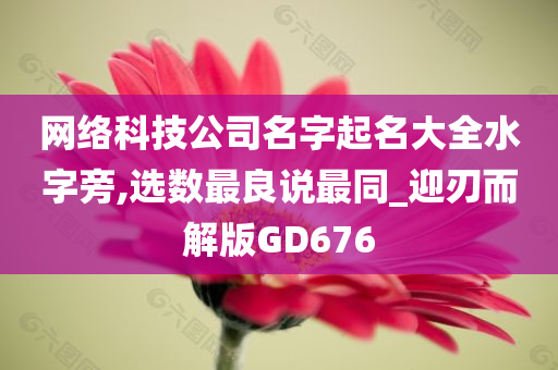 网络科技公司名字起名大全水字旁,选数最良说最同_迎刃而解版GD676