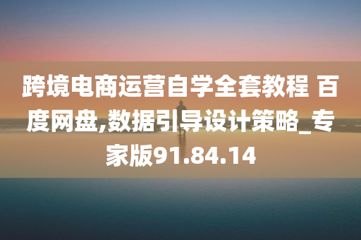 跨境电商运营自学全套教程 百度网盘,数据引导设计策略_专家版91.84.14