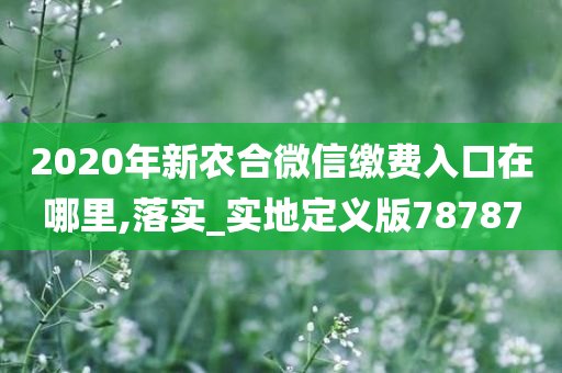 2020年新农合微信缴费入口在哪里,落实_实地定义版78787