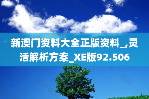 新澳门资料大全正版资料_,灵活解析方案_XE版92.506