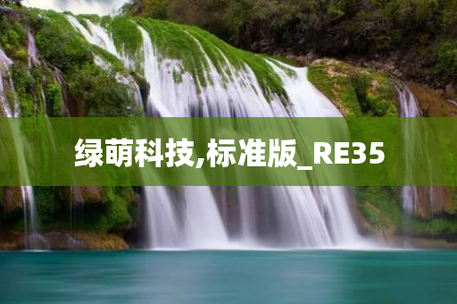 绿萌科技,标准版_RE35