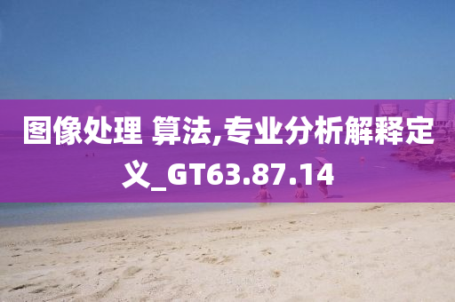 图像处理 算法,专业分析解释定义_GT63.87.14