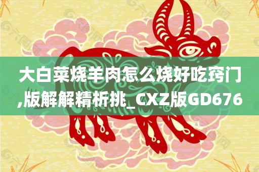 大白菜烧羊肉怎么烧好吃窍门,版解解精析挑_CXZ版GD676