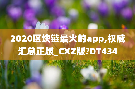 2020区块链最火的app,权威汇总正版_CXZ版?DT434