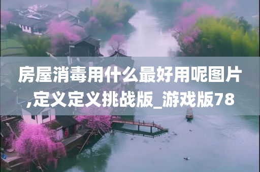 房屋消毒用什么最好用呢图片,定义定义挑战版_游戏版78