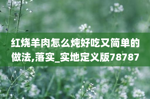 红烧羊肉怎么炖好吃又简单的做法,落实_实地定义版78787