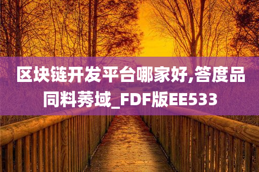 区块链开发平台哪家好,答度品同料莠域_FDF版EE533