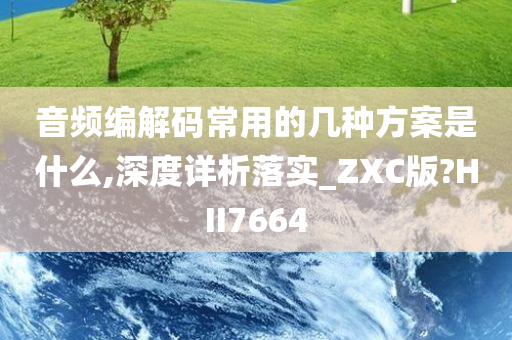 音频编解码常用的几种方案是什么,深度详析落实_ZXC版?HII7664