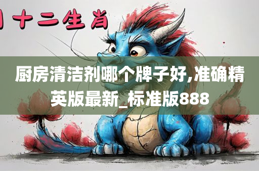 厨房清洁剂哪个牌子好,准确精英版最新_标准版888