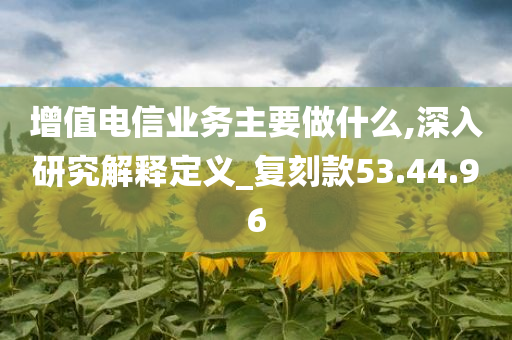 增值电信业务主要做什么,深入研究解释定义_复刻款53.44.96