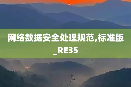 网络数据安全处理规范,标准版_RE35