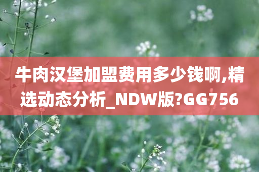 牛肉汉堡加盟费用多少钱啊,精选动态分析_NDW版?GG756