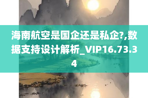 海南航空是国企还是私企?,数据支持设计解析_VIP16.73.34