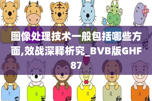 图像处理技术一般包括哪些方面,效战深释析究_BVB版GHF87