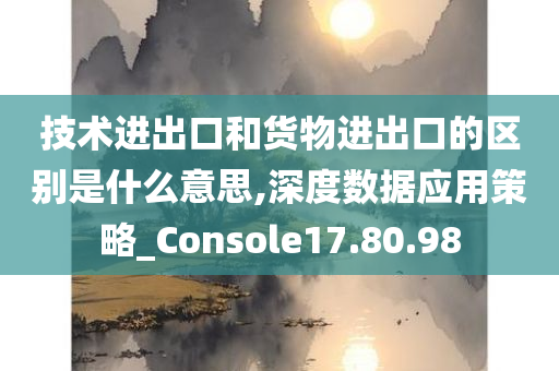 技术进出口和货物进出口的区别是什么意思,深度数据应用策略_Console17.80.98