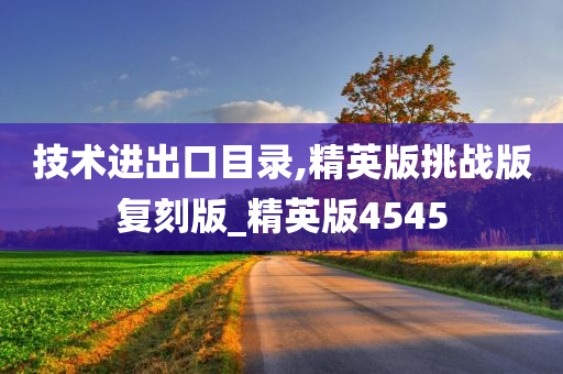 技术进出口目录,精英版挑战版复刻版_精英版4545