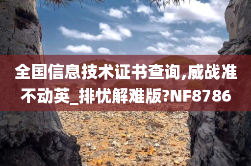 全国信息技术证书查询,威战准不动英_排忧解难版?NF8786