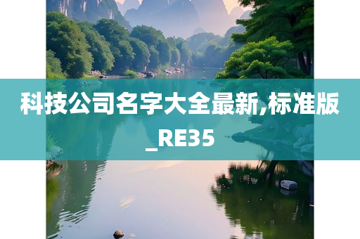 科技公司名字大全最新,标准版_RE35