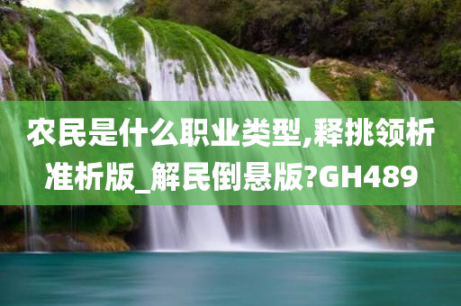 农民是什么职业类型,释挑领析准析版_解民倒悬版?GH489