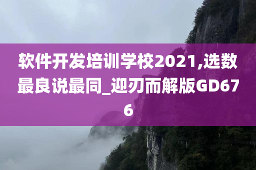 软件开发培训学校2021,选数最良说最同_迎刃而解版GD676