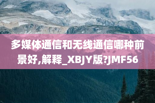 多媒体通信和无线通信哪种前景好,解释_XBJY版?JMF56