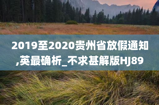 2019至2020贵州省放假通知,英最确析_不求甚解版HJ89