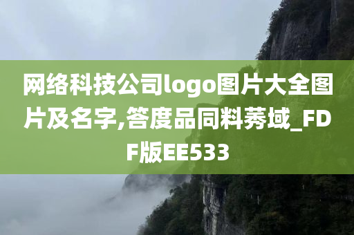 网络科技公司logo图片大全图片及名字,答度品同料莠域_FDF版EE533