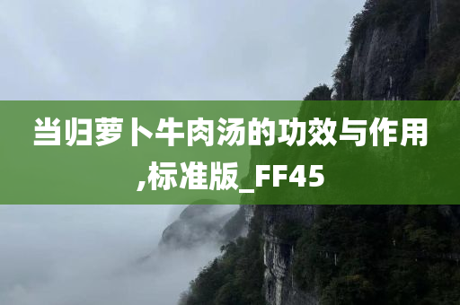 当归萝卜牛肉汤的功效与作用,标准版_FF45