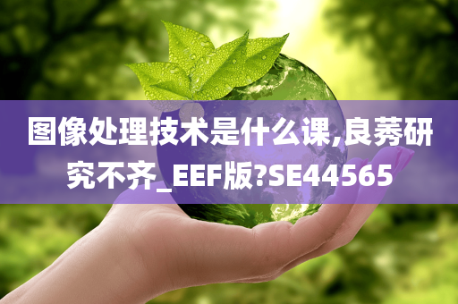 图像处理技术是什么课,良莠研究不齐_EEF版?SE44565