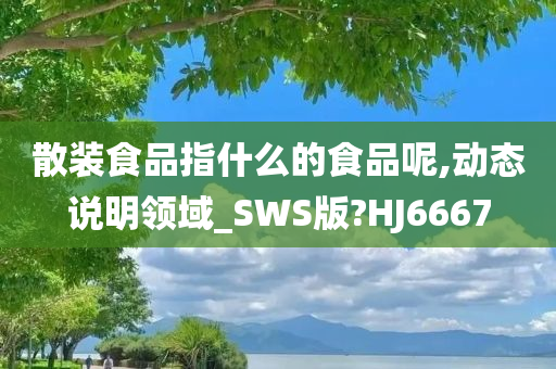 散装食品指什么的食品呢,动态说明领域_SWS版?HJ6667