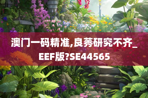 澳门一码精准,良莠研究不齐_EEF版?SE44565