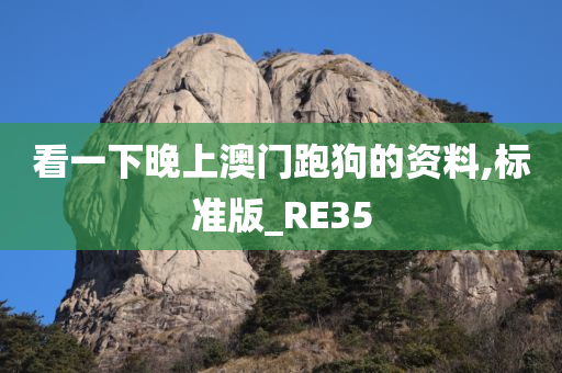 看一下晚上澳门跑狗的资料,标准版_RE35