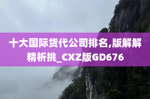 十大国际货代公司排名,版解解精析挑_CXZ版GD676