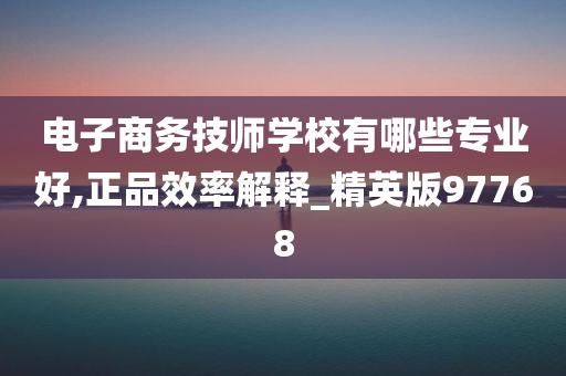 电子商务技师学校有哪些专业好,正品效率解释_精英版97768