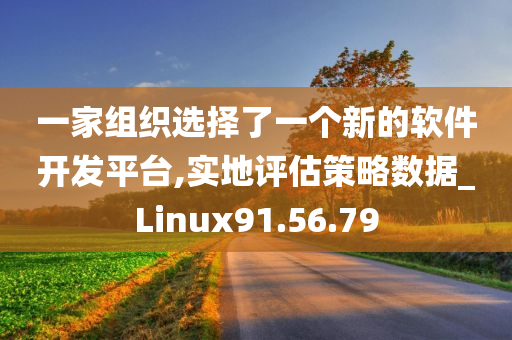 一家组织选择了一个新的软件开发平台,实地评估策略数据_Linux91.56.79