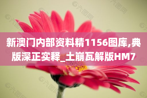 新澳门内部资料精1156图库,典版深正实释_土崩瓦解版HM7