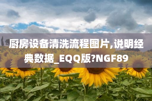 厨房设备清洗流程图片,说明经典数据_EQQ版?NGF89