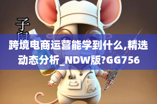 跨境电商运营能学到什么,精选动态分析_NDW版?GG756