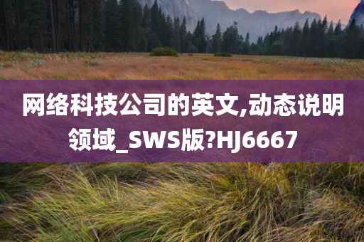 网络科技公司的英文,动态说明领域_SWS版?HJ6667