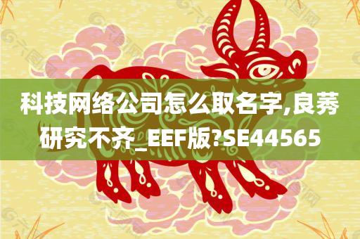 科技网络公司怎么取名字,良莠研究不齐_EEF版?SE44565