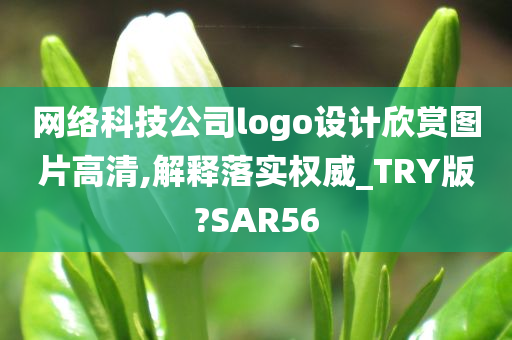 网络科技公司logo设计欣赏图片高清,解释落实权威_TRY版?SAR56